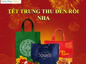 Beautiful and cheap mid-autumn gift bags in Ho Chi Minh City